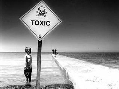 Infographic: The Toxicity of Surfing