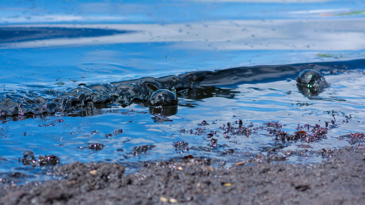 How Do Oil Spills Affect The Environment?