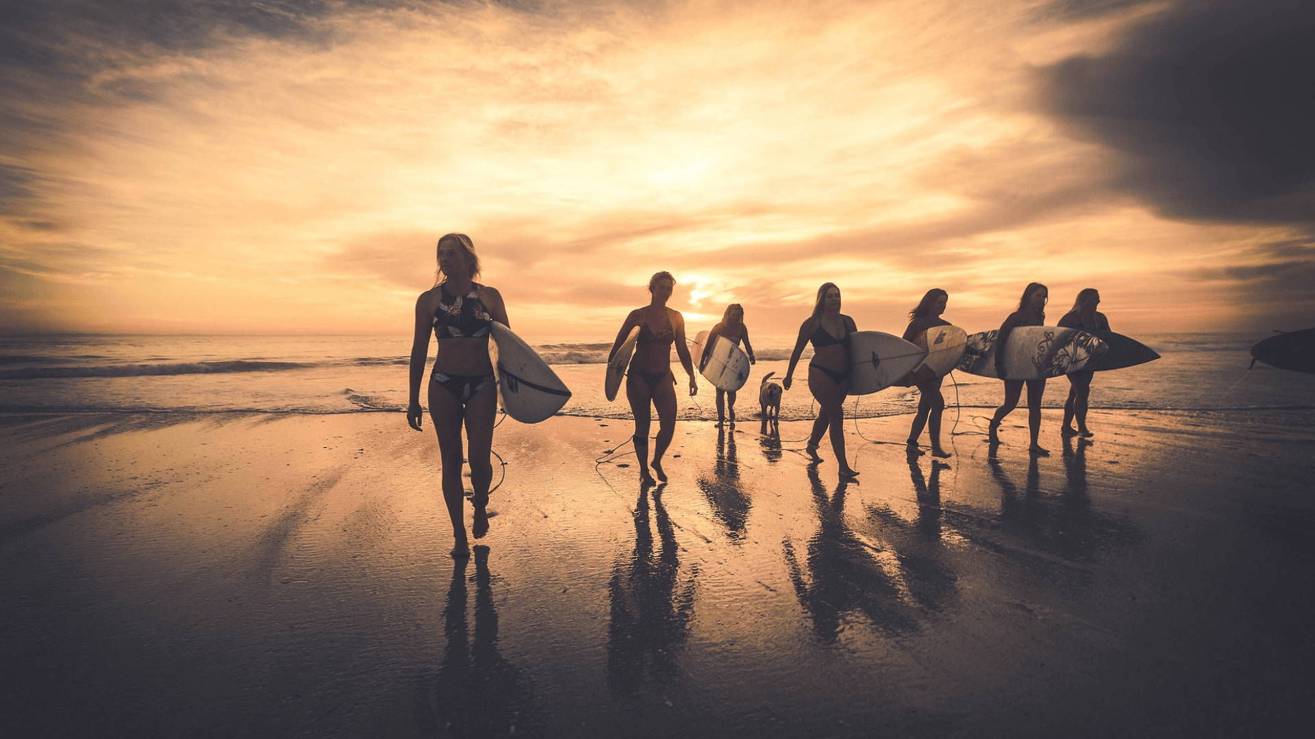 Women Surfers: Reclaiming the Waves