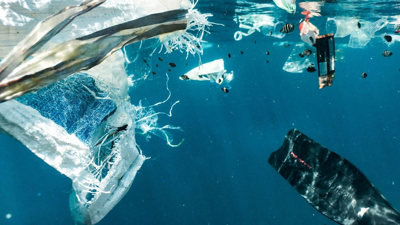 Microplastics In Our Marine Environment: 5 Reasons Why We Should Be Alarmed